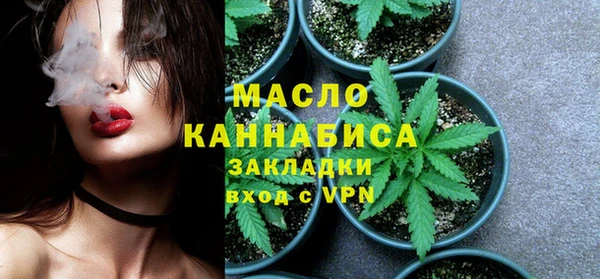 сатива Горняк