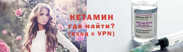 сатива Горняк
