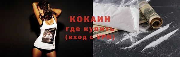 сатива Горняк