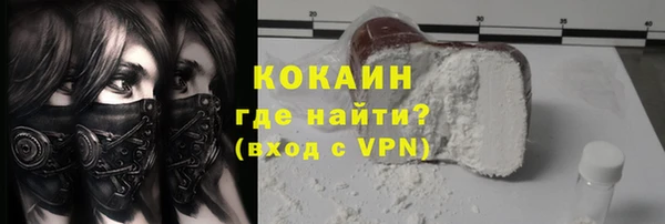 сатива Горняк