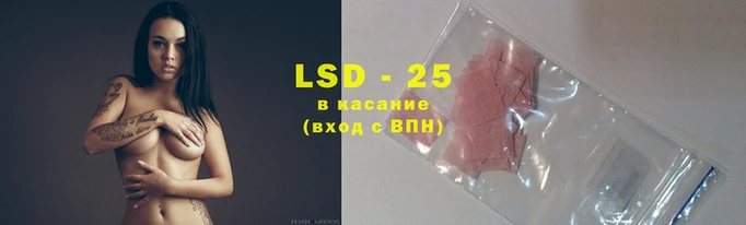 сатива Горняк