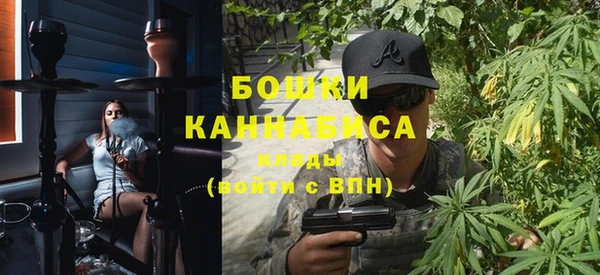 сатива Горняк