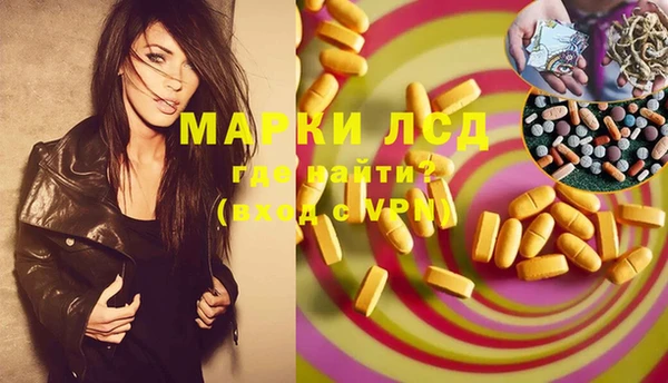 сатива Горняк