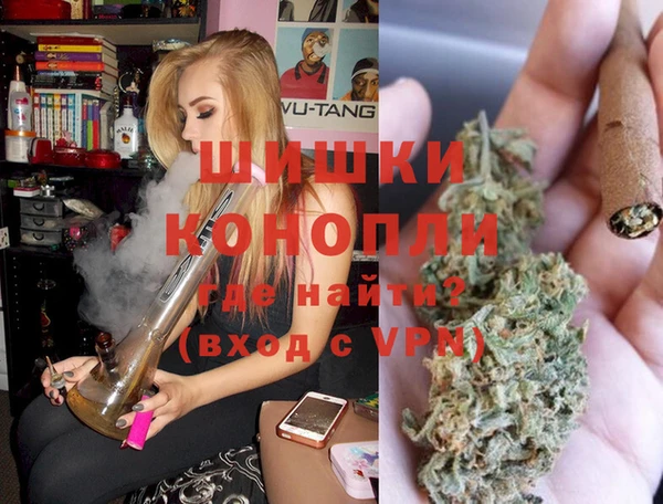 сатива Горняк