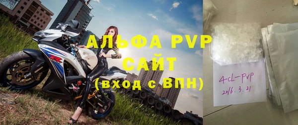 сатива Горняк