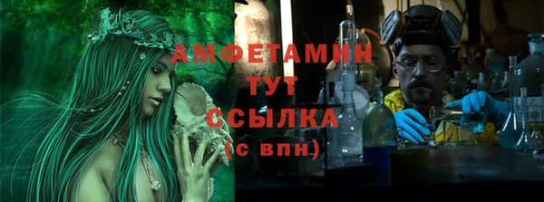 сатива Горняк