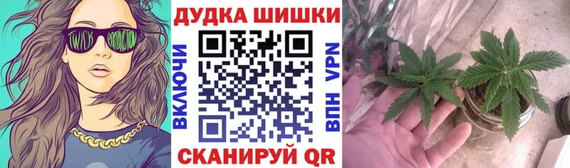 Купить где  Козловка  Бошки марихуана LSD WEED 